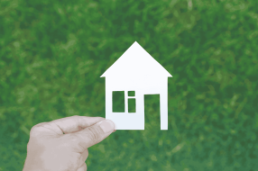 OBBLIGO DEI CAM NEGLI APPALTI: SUPPORTO DALLA RETE DI COMMITTENZA QUALIFICATA 