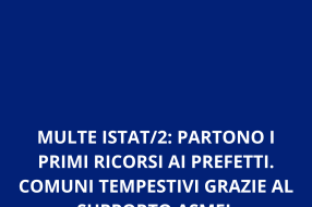 MULTE ISTAT: PARTONO I PRIMI RICORSI AI PREFETTI.  COMUNI TEMPESTIVI GRAZIE AL SUPPORTO ASMEL