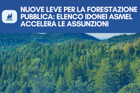 NUOVE LEVE PER LA FORESTAZIONE PUBBLICA: ELENCO IDONEI ASMEL ACCELERA LE ASSUNZIONI